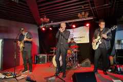 Graceland-News2